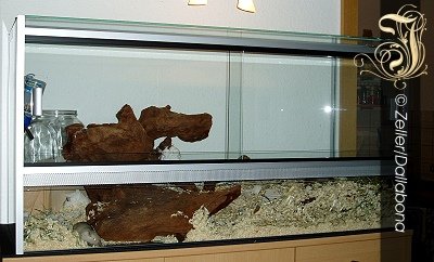 100x35x50 Terrarium