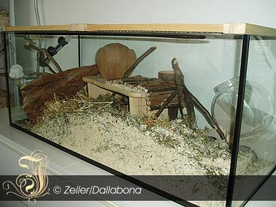 100er Aqua