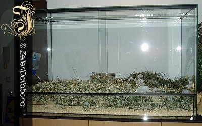 80x40x40 Terrarium