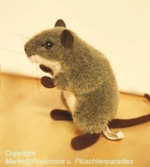 Agouti-Rennmaus-Pl�schtier